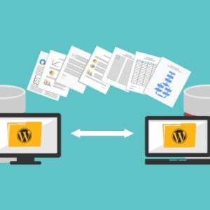 Website Migration and Local SEO